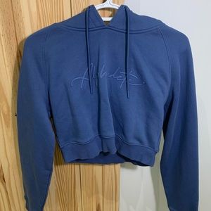 Alphalete Cropped Hoodie